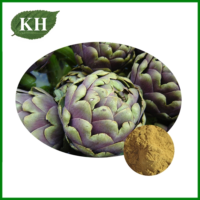 Artichoke Extract Powder